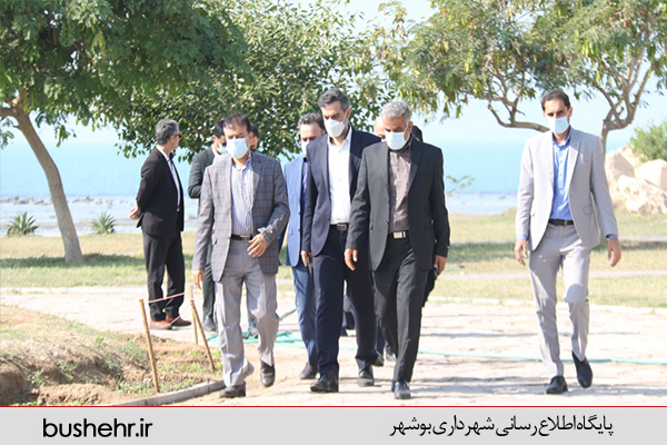 گزارش تصویری