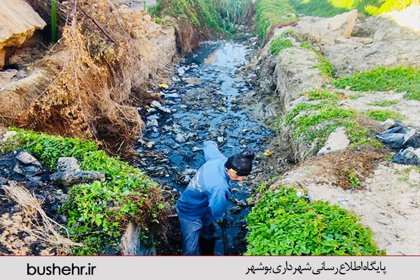 گزارش تصویری