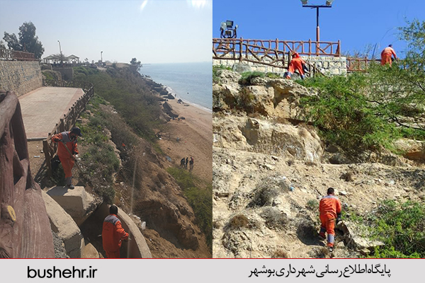 گزارش تصویری