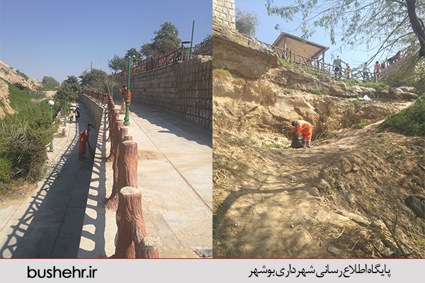 گزارش تصویری