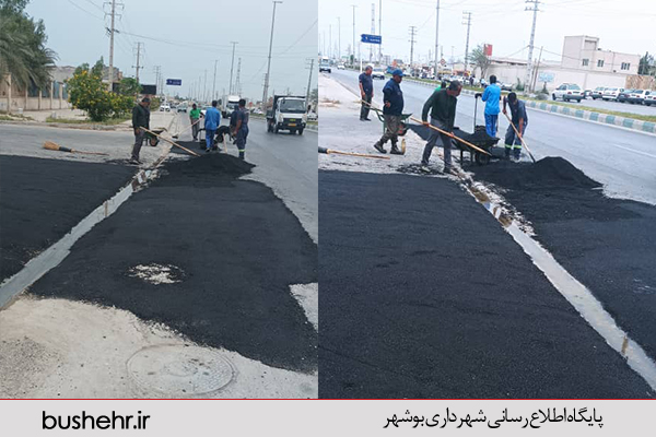 گزارش تصویری