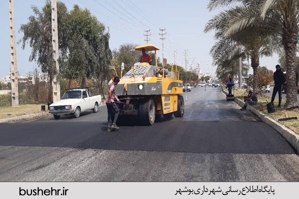 گزارش تصویری