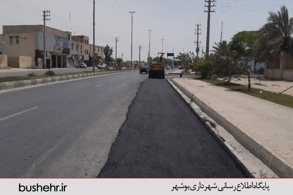 گزارش تصویری