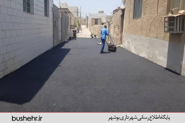 گزارش تصویری