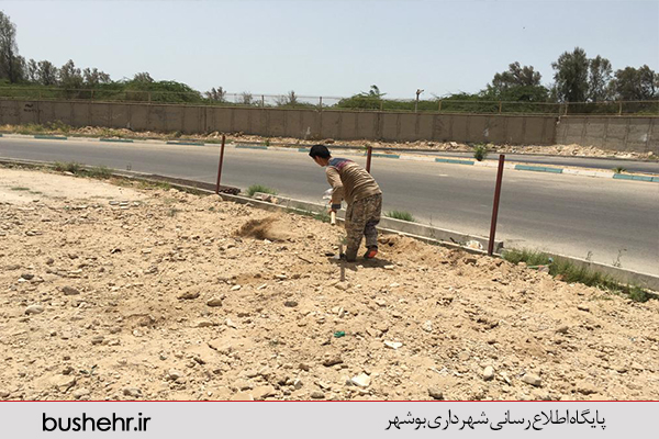 گزارش تصویری