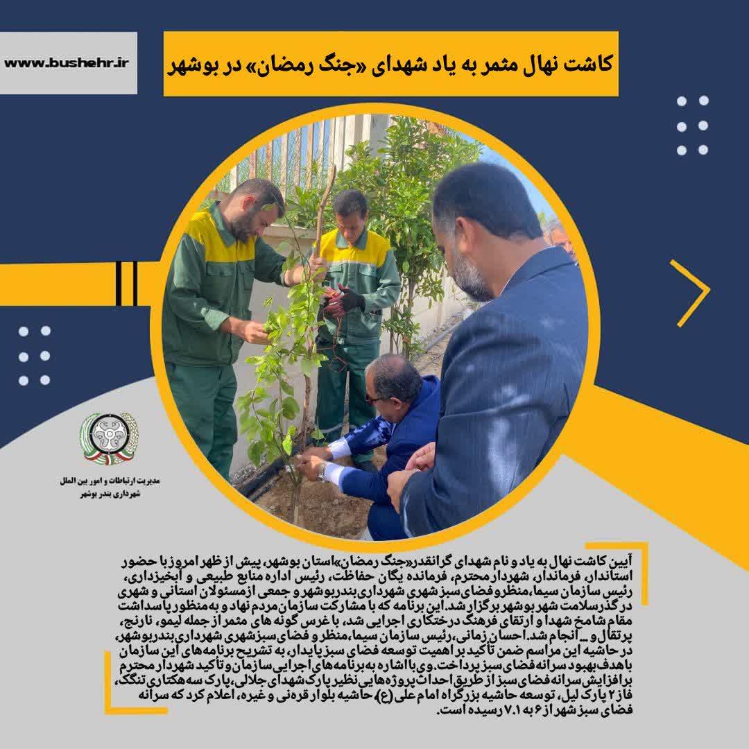 کاشت نهال مثمر به یاد شهدای «جنگ رمضان» در بوشهر