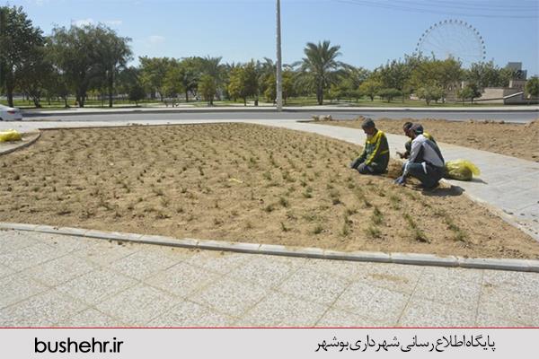 طرح گل کاری بهاره