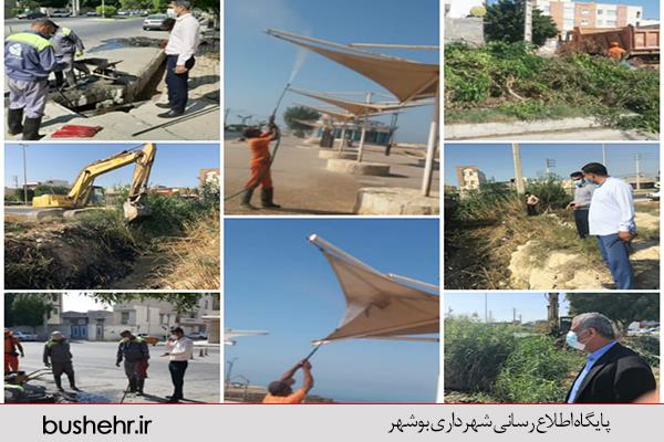 مهمترین فعالیت های انجام شده توسط سازمان مدیریت پسماند شهرداری بندر بوشهر