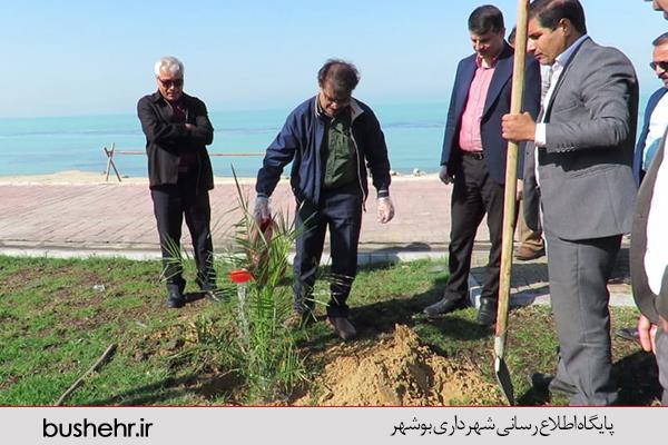 استقبال از بهار ۱۳۹۹ با کاشت درخت ‌