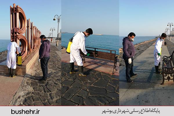 ضد عفونی ساحل بوشهر به منظور  پیشگیری از شیوع ویروس کرونا
