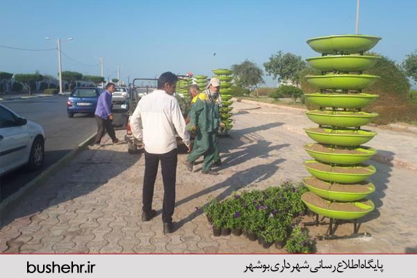 در آستانه فصل زمستان، گل‌های مخصوص این فصل در سطح میادین، بوستان‌ها و بلوارها در حال کاشت است