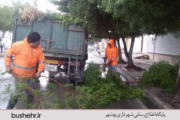 گوشه ای از تلاش وهمت همکاران سازمان مدیریت پسماند شهرداری بندر بوشهر در زمان بارندگی