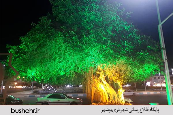 درختان میدان امام (ره ) نور پردازی شد