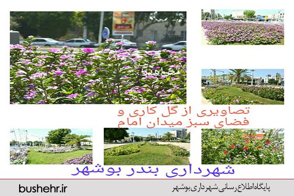 تصاویری از گل کاری و فضای سبز میدان امام