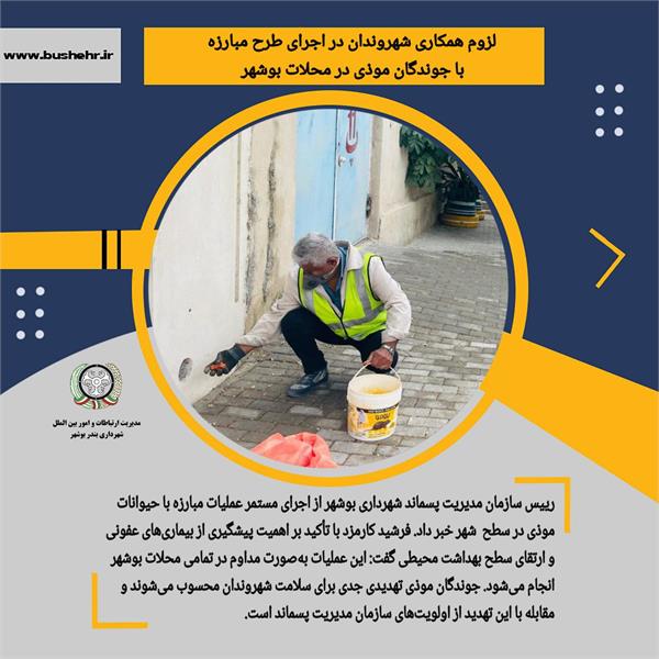 لزوم همکاری شهروندان در اجرای طرح مبارزه با جوندگان موذی در محلات بوشهر