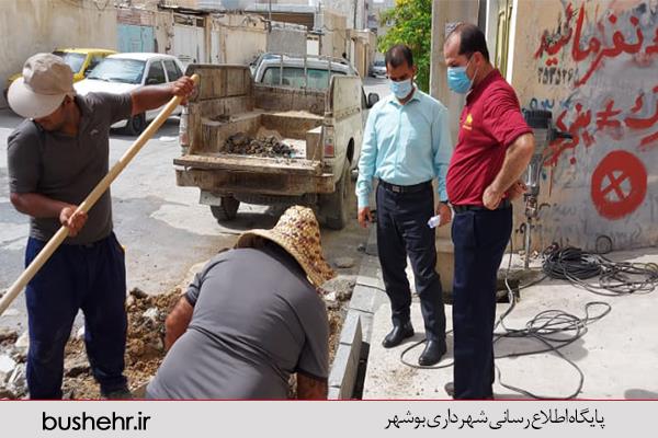 بخشی از فعالیت های انجام شده توسط شهرداری منطقه یک