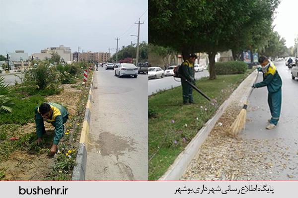 گزارش عملکرد سازمان سیما، منظر و فضای سبز شهری