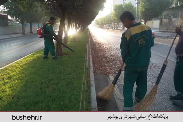مهمترین فعالیت های انجام شده توسط سازمان سیما، منظر و فضای سبز شهری شهرداری بندر بوشهر